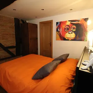 Monkeys House. Apartamento Vitoria